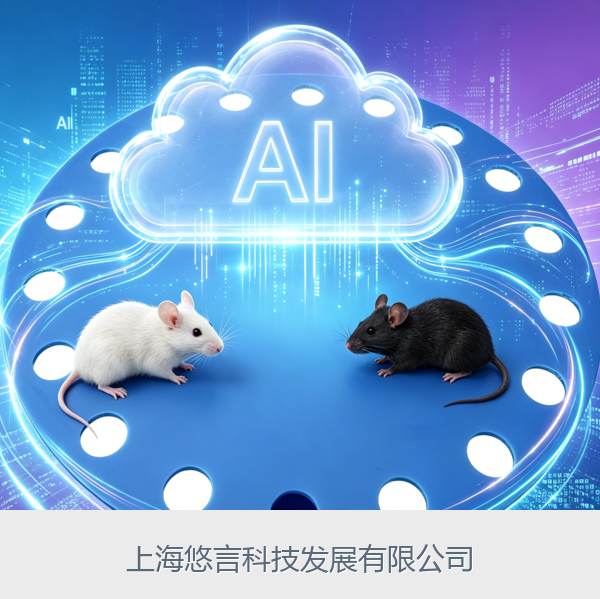 AI Barnes迷宫精细行为分析系统