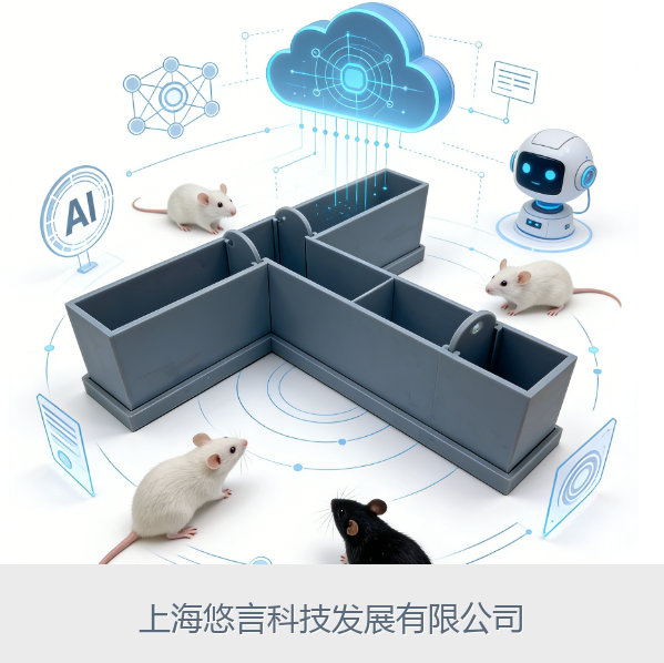 AI大小鼠T迷宫精细行为分析系统