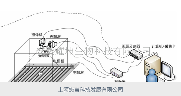 小动物多通道恐惧实验系统