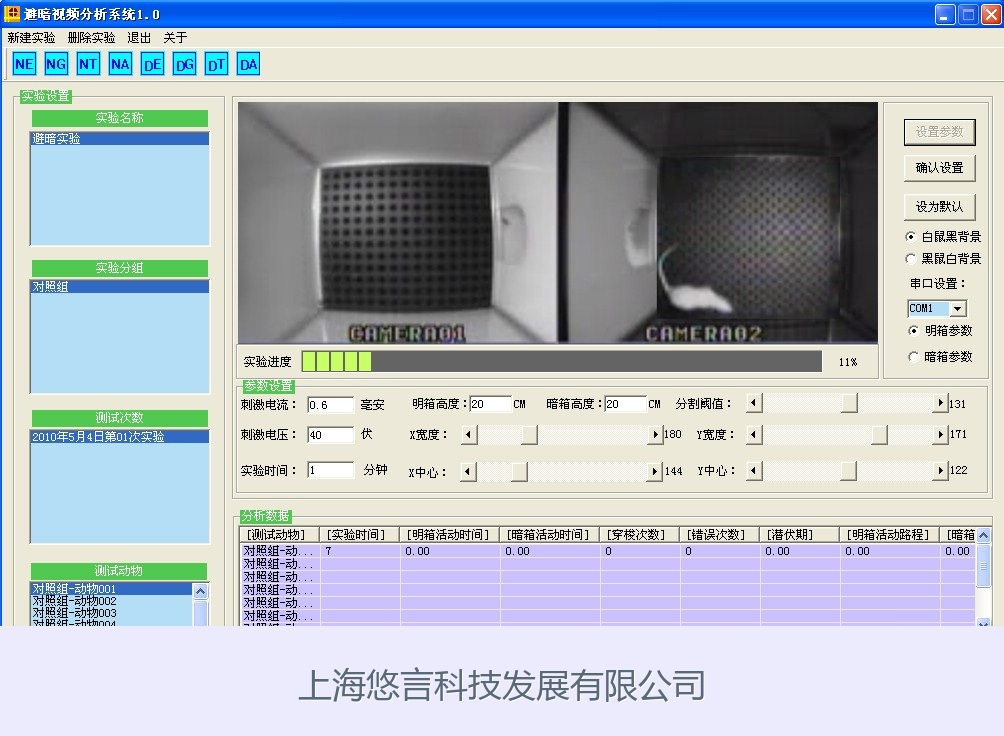 t迷宫