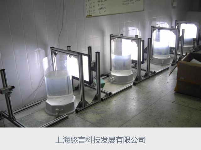 强迫游泳视频分析系统