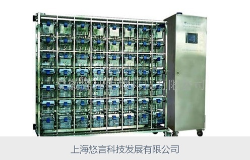 IVC小鼠独立通气笼
