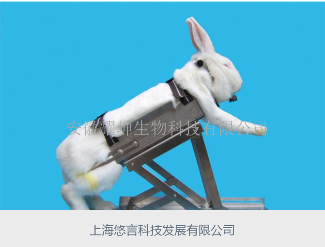 多功能兔固定架