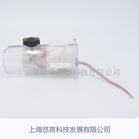 小鼠固定器