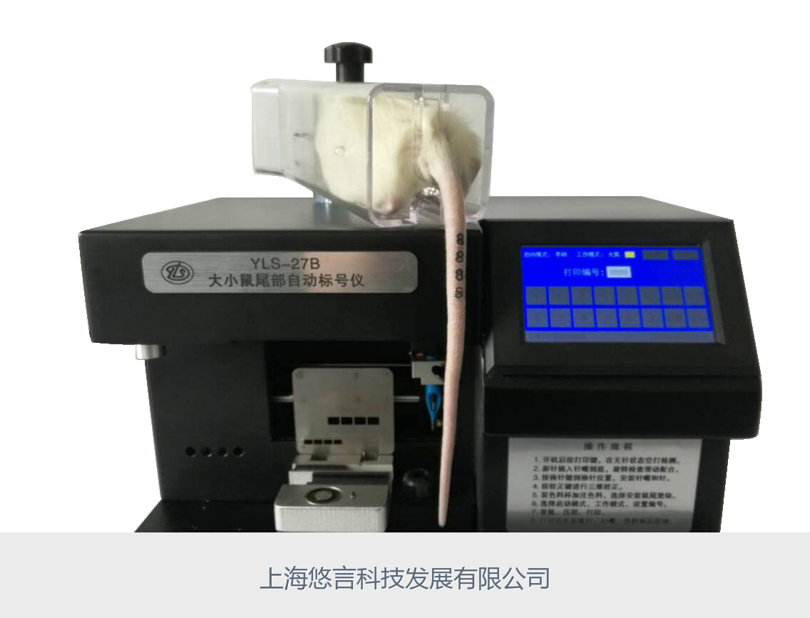 大小鼠尾部自动编号系统