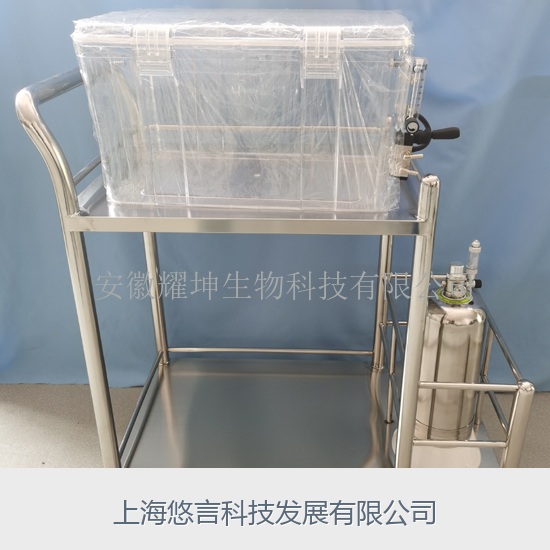 小动物安乐死系统