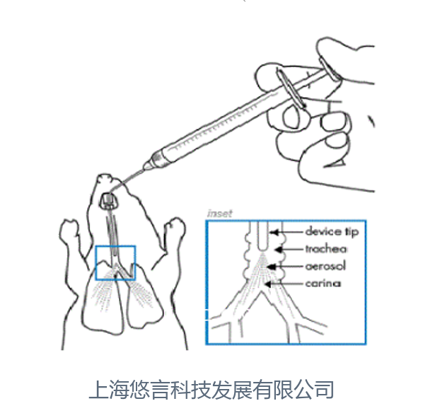 肺部雾化给药喷雾针