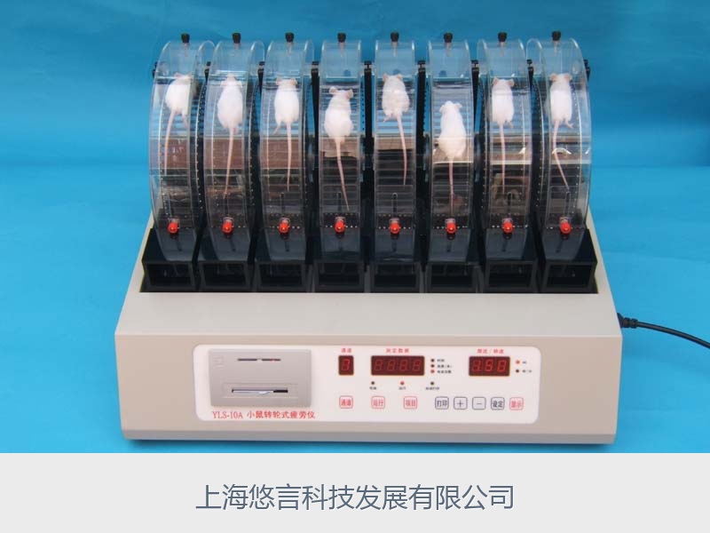 小鼠转轮式疲劳仪